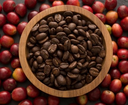 Organic and Traditional Coffee